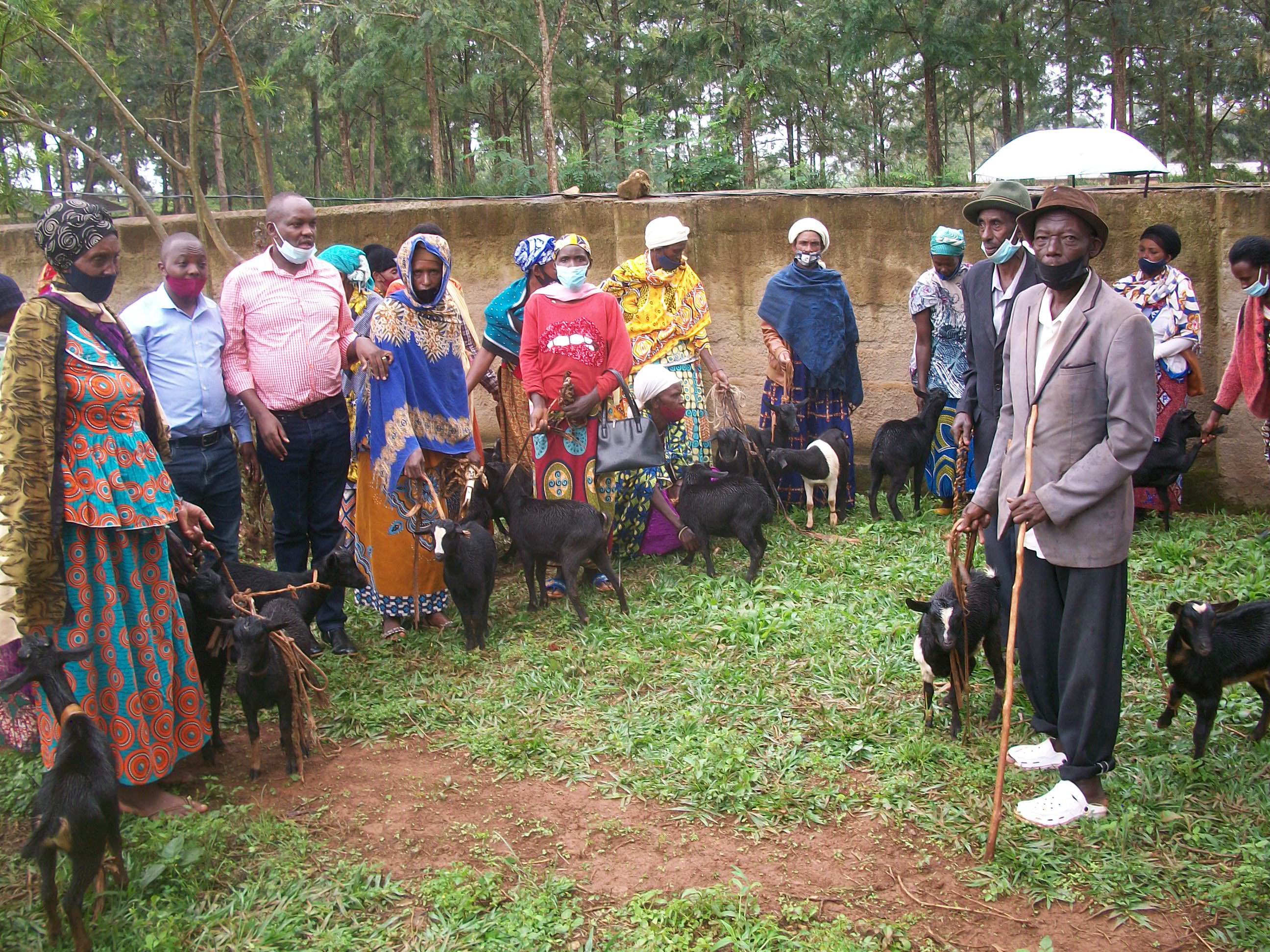 Goats Provision